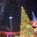 Exploring the Vibrant Celebrations of Northern California