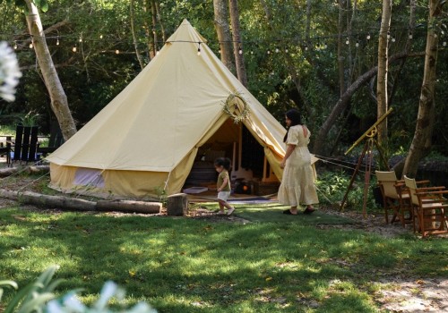 Exploring Family-Friendly Fun in Northern California